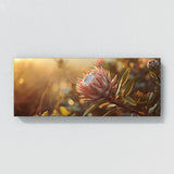 Protea Morning Dream 25