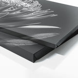 Protea Noir Elegance 26