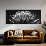 Protea Noir Elegance 26