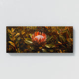 Protea Solitary Bloom 7