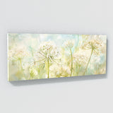 Queen Anne Lace Airy Elegance 8