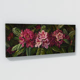 Rhododendron Elegance 3