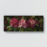Rhododendron Elegance 3
