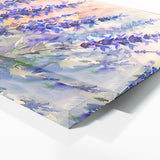 Salvia Breezy Symphony 9