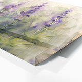 Salvia Ethereal Dream 7