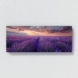 Salvia Majestic Bloomscape 18
