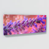 Salvia Petal Cinematics 19