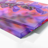 Salvia Petal Cinematics 19