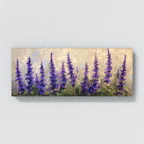 Salvia Serenity 1