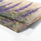 Salvia Serenity 1