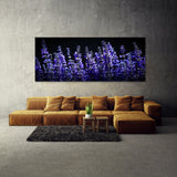 Salvia Shadowed Blossoms 17