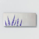 Salvia Simple Serenity 23