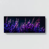 Salvia Spotlight Symphony 20