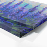 Salvia Symphony 14