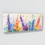 Salvia Vibrant Splashes 12