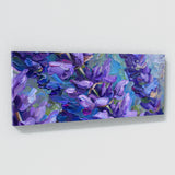 Salvia Vivid Symphony 5