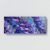 Salvia Vivid Symphony 5