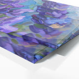 Salvia Vivid Symphony 5