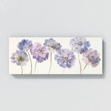 Scabiosa Delicate Blooms 14