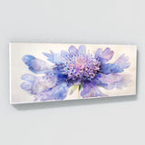 Scabiosa Delicate Petal Harmony 9