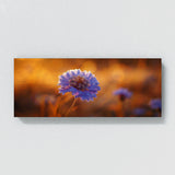 Scabiosa Golden Bloom Essence 26