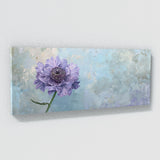 Scabiosa Modern Elegance 36