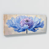 Scabiosa Modern Elegance 37