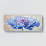 Scabiosa Modern Elegance 37