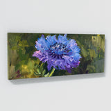 Scabiosa Symphony 5