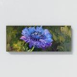 Scabiosa Symphony 5