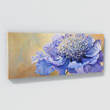 Scabiosa Velvet Bloom Closeup 4