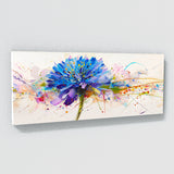 Scabiosa Vivid Burst 35