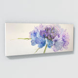 Scabiosa Whimsical Bloom 15