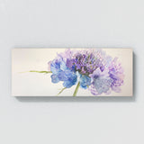Scabiosa Whimsical Bloom 15