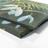 Snowdrop Serene 1
