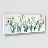 Snowdrop Translucent 8