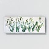 Snowdrop Translucent 8