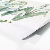 Snowdrop Translucent 8