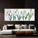 Snowdrop Translucent 8