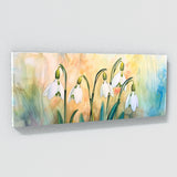 Snowdrop Whispering 9