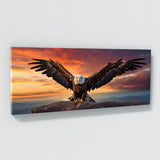 Eagle Glory 91