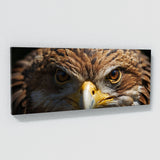 Eagle Intensity 88