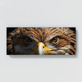 Eagle Intensity 88