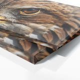 Eagle Intensity 88