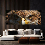 Eagle Intensity 88