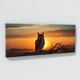 Owl Dawn Silhouette 100