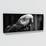Parrot Monochrome Portrait 79