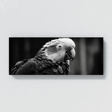 Parrot Monochrome Portrait 79