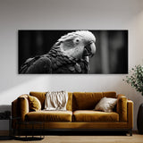 Parrot Monochrome Portrait 79