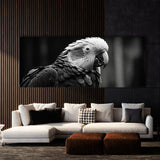 Parrot Monochrome Portrait 79